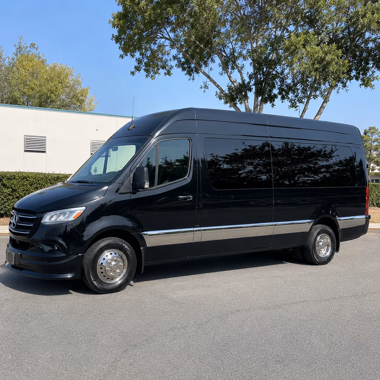 corona prom transportation